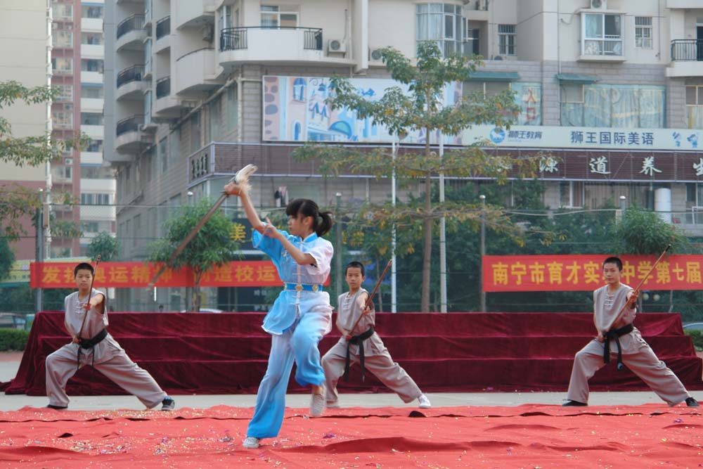 南宁市育才实验中学